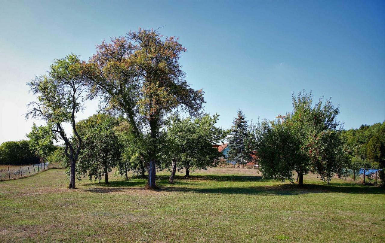 Ferienwohnung Roehrer Obertrubach Exteriér fotografie